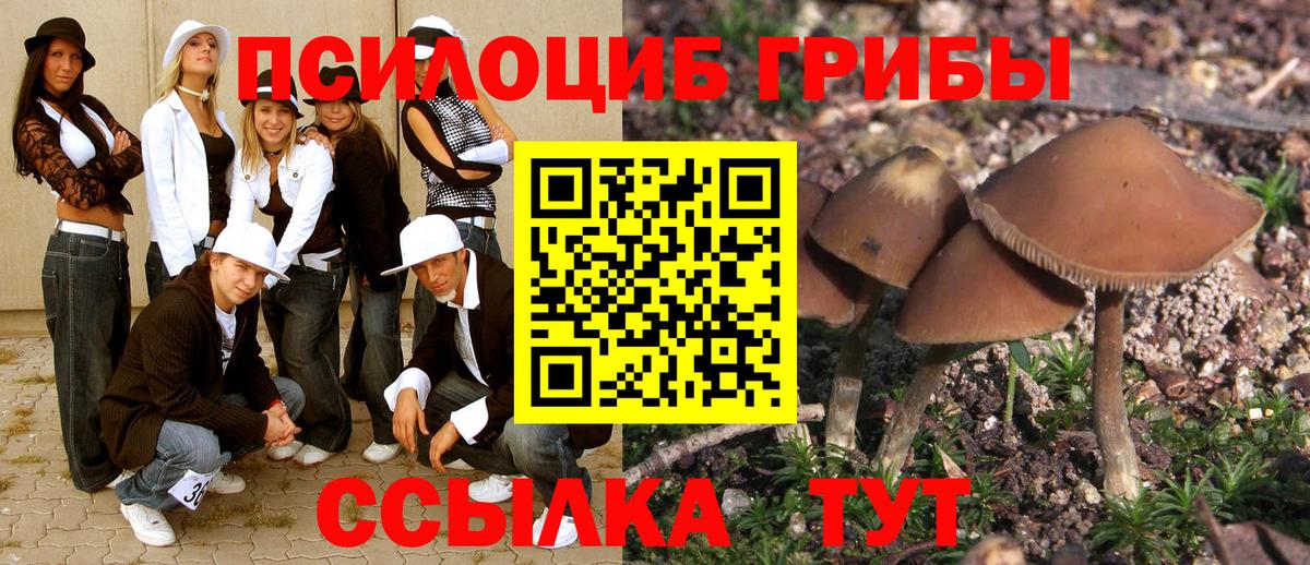 Галлюциногенные грибы Psilocybine cubensis  Псилоцибиновые грибы MAGIC MUSHROOMS  наркота  Шебекино  Вход с VPN 
