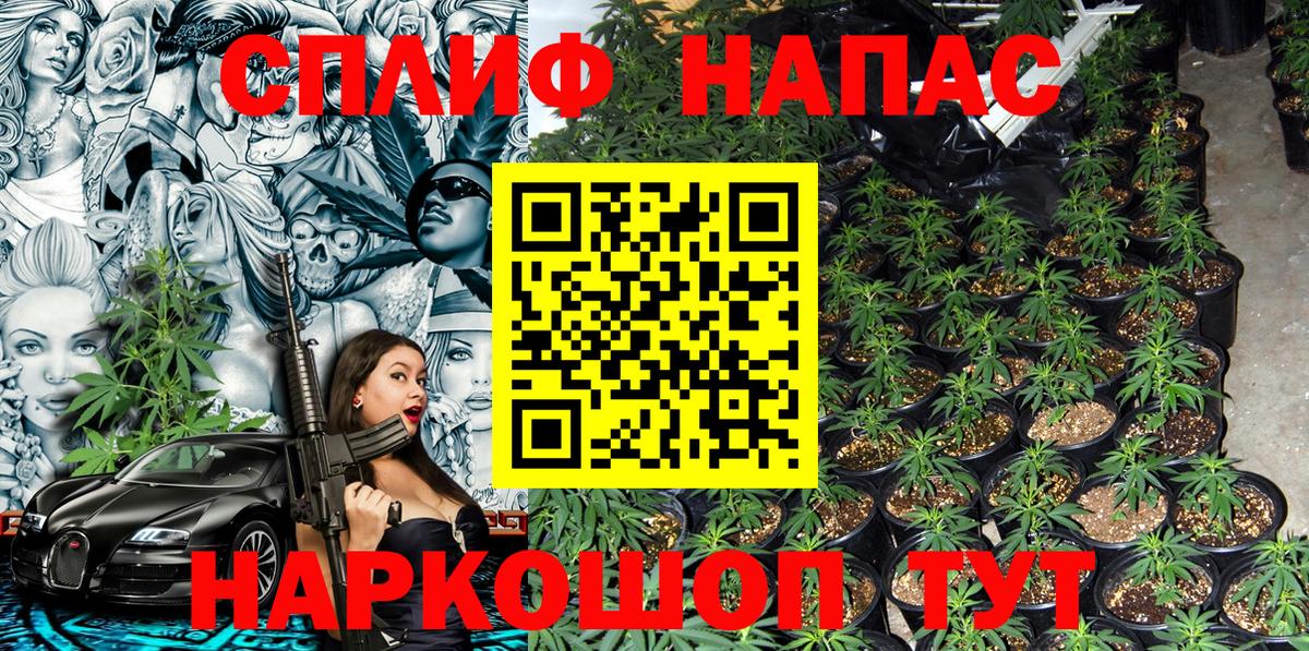 Галлюциногенные грибы Шебекино
