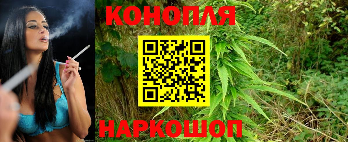 Бошки марихуана конопля  Канабис конопля  Вход с VPN  Канабис SATIVA & INDICA  Шишки марихуана план  Шебекино 
